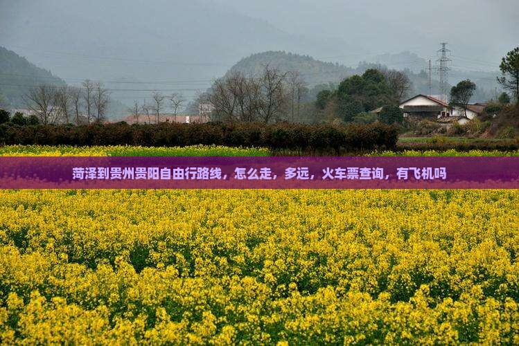 菏泽到贵州贵阳自由行