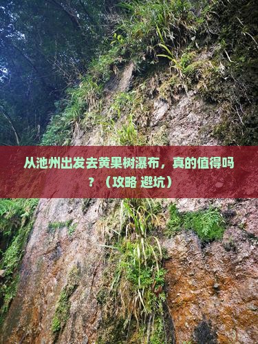 池州去贵州黄果树瀑布景点