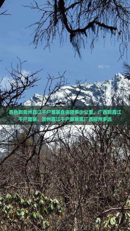 百色到贵州西江千户苗寨自由团