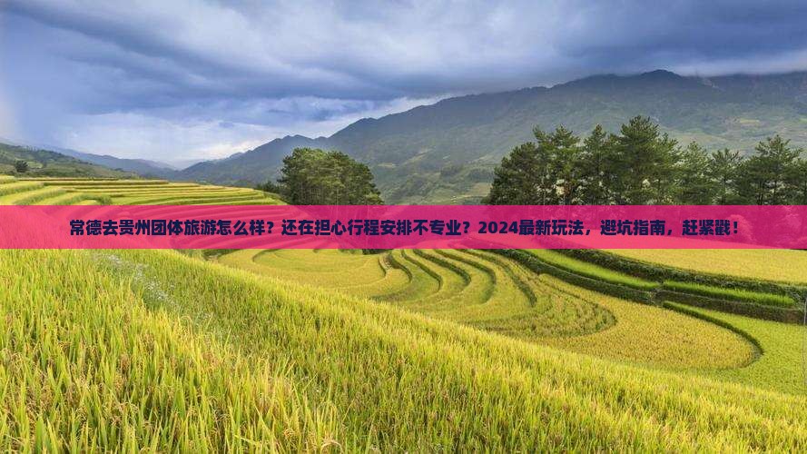常德去贵州团体旅游