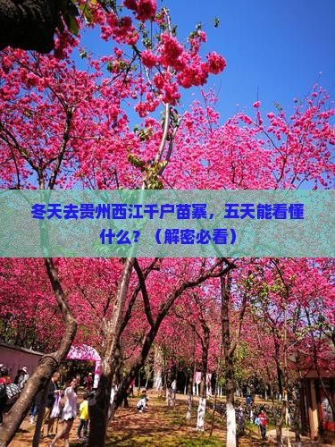 冬天到贵州西江千户苗寨五日游