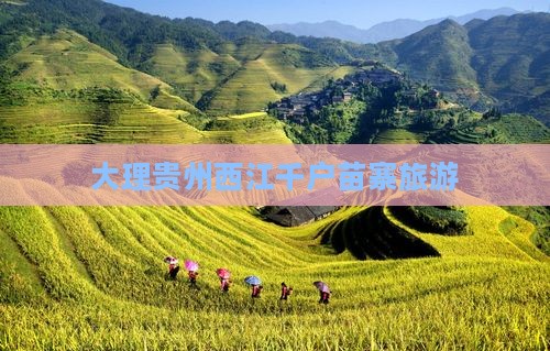 大理到贵州西江千户苗寨大型旅游团