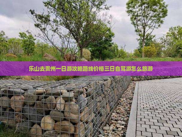 乐山去贵州一日