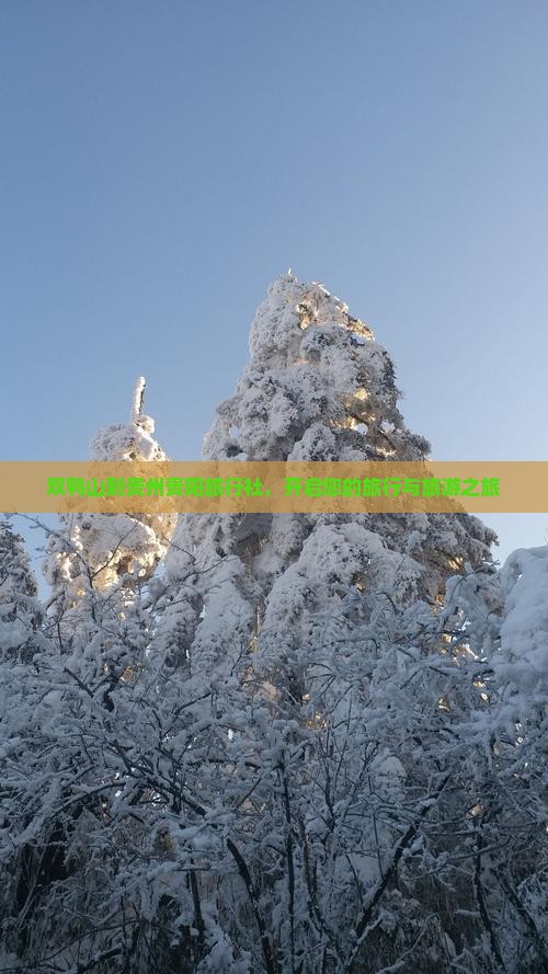 双鸭山到贵州贵阳旅行社