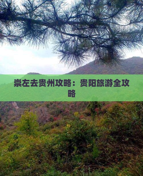 崇左去贵州攻略