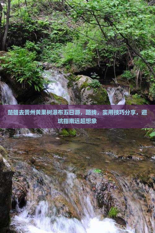 楚雄去贵州黄果树瀑布五日游
