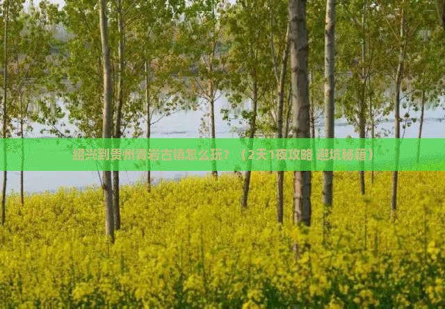 绍兴到贵州青岩古镇旅行社