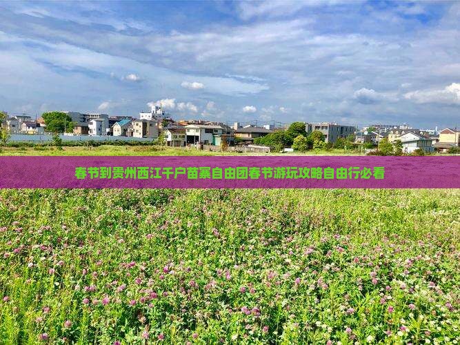 春节到贵州西江千户苗寨自由团