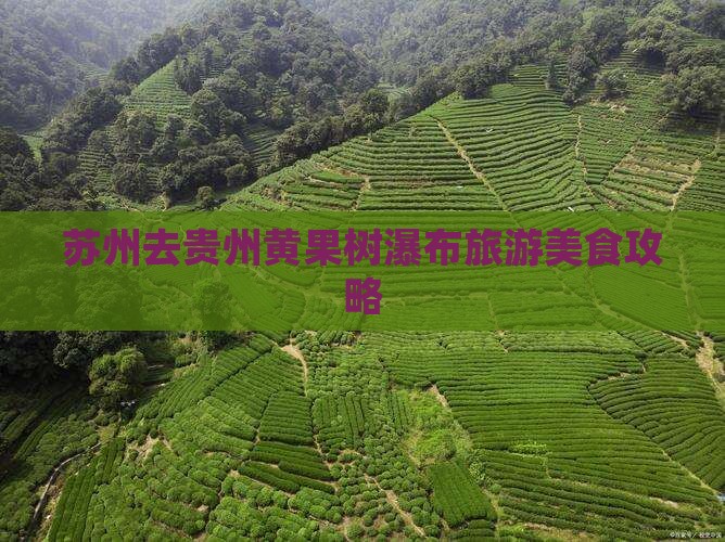 苏州去贵州黄果树瀑布旅游小吃