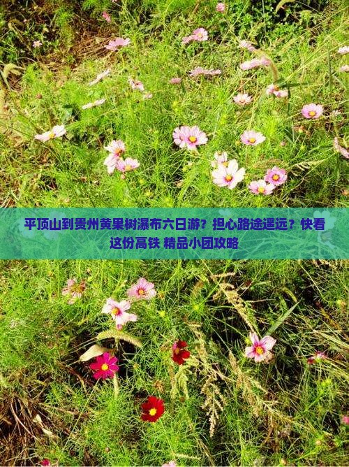 平顶山到贵州黄果树瀑布六日游