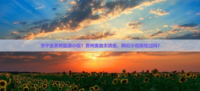 济宁去贵州旅游小吃