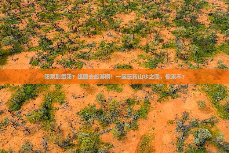阳泉去贵州贵阳团体旅游
