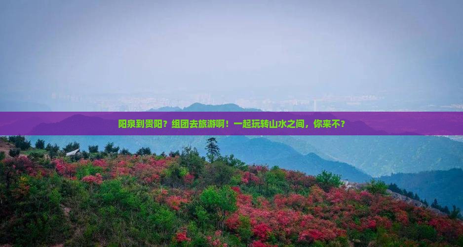 阳泉去贵州贵阳团体旅游