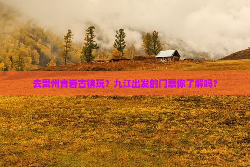 九江去贵州青岩古镇门票