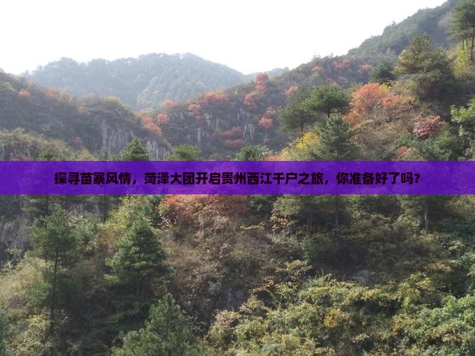 菏泽到贵州西江千户苗寨大型旅游团