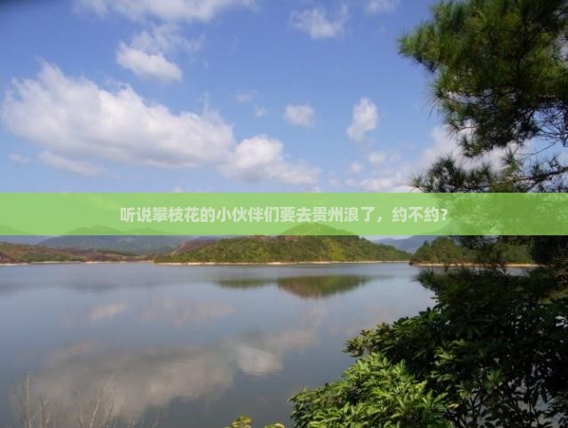 攀枝花到贵州自由团