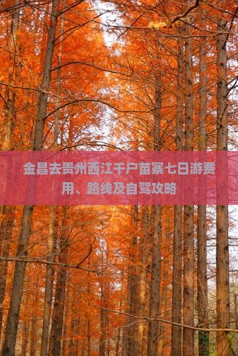 金昌去贵州西江千户苗寨七日游