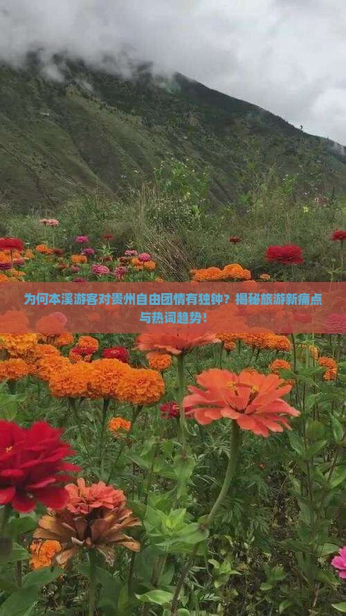 本溪到贵州自由团
