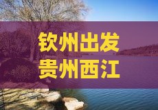 钦州去贵州西江千户苗寨大型旅游团