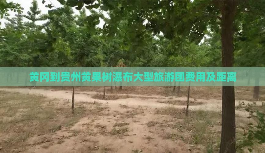黄冈到贵州黄果树瀑布大型旅游团