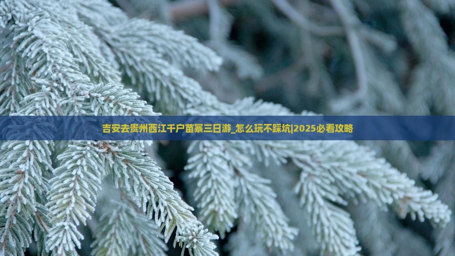 吉安去贵州西江千户苗寨三日游