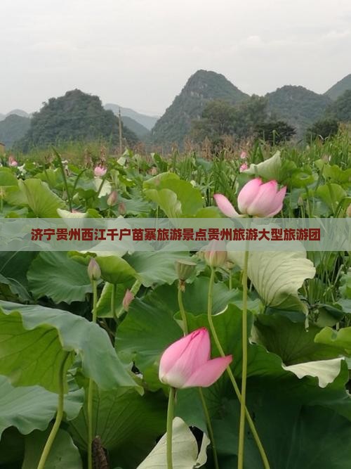 济宁到贵州西江千户苗寨大型旅游团