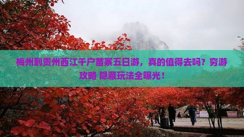 梅州到贵州西江千户苗寨五日游