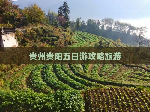 冬天到贵州贵阳五日游