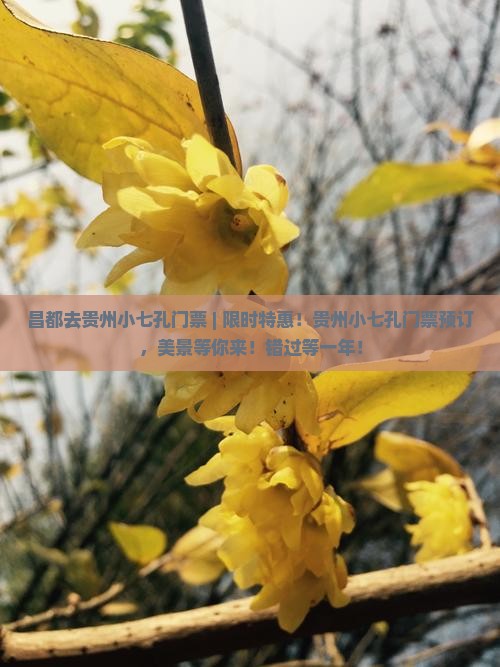 昌都去贵州小七孔门票