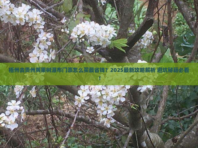 梧州去贵州黄果树瀑布门票