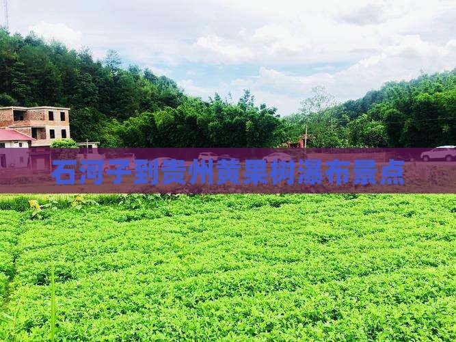 石河子到贵州黄果树瀑布景点