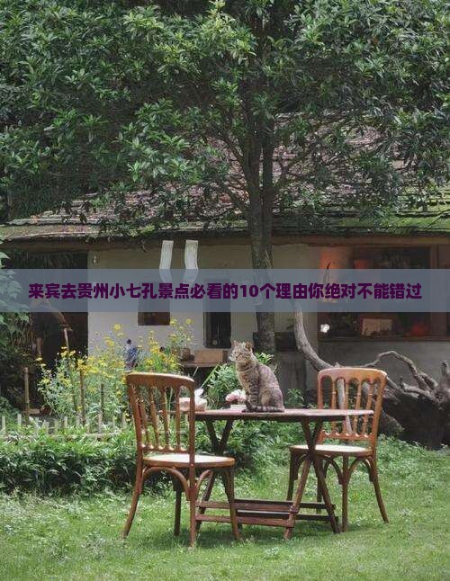 来宾去贵州小七孔景点