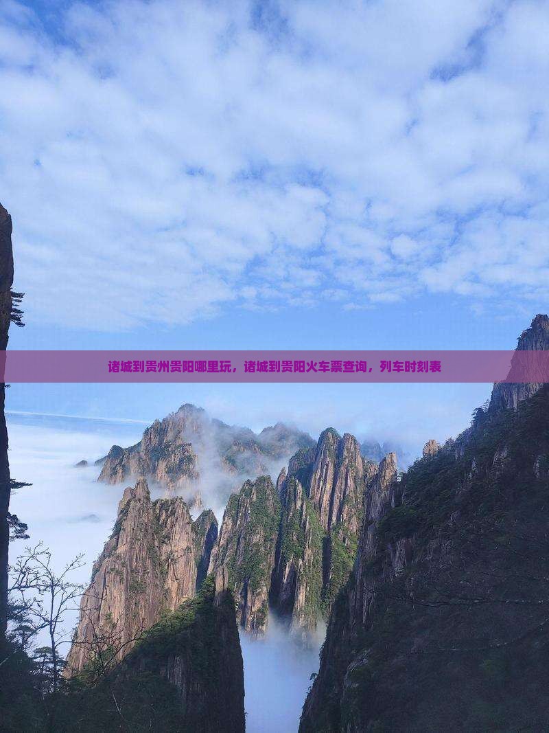 诸城到贵州贵阳哪里玩