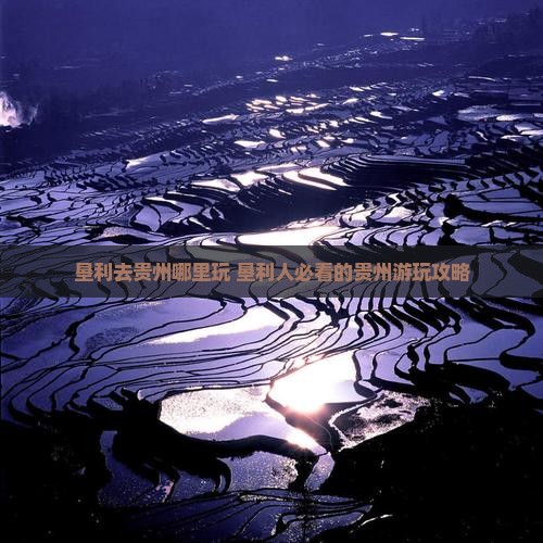 垦利去贵州哪里玩