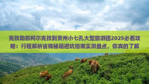 克孜勒苏柯尔克孜到贵州小七孔大型旅游团