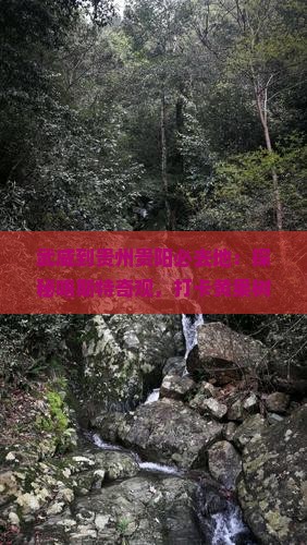 武威到贵州贵阳必去地