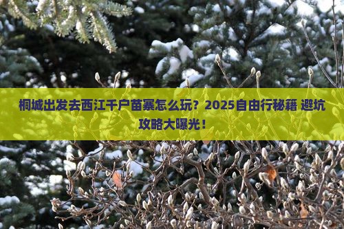 桐城到贵州西江千户苗寨自由行