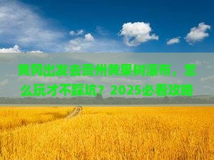 黄冈去贵州黄果树瀑布景点