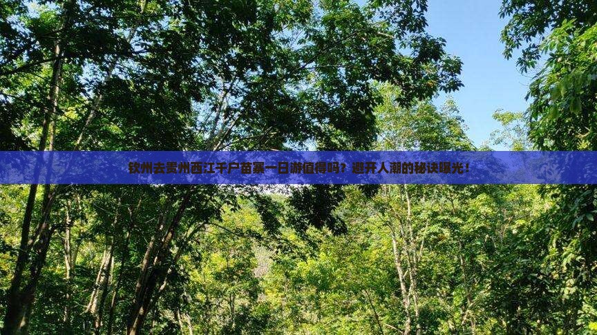 钦州去贵州西江千户苗寨一日