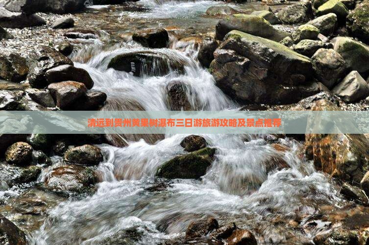 清远到贵州黄果树瀑布三日游