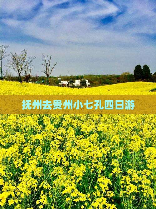 抚州去贵州小七孔四日游