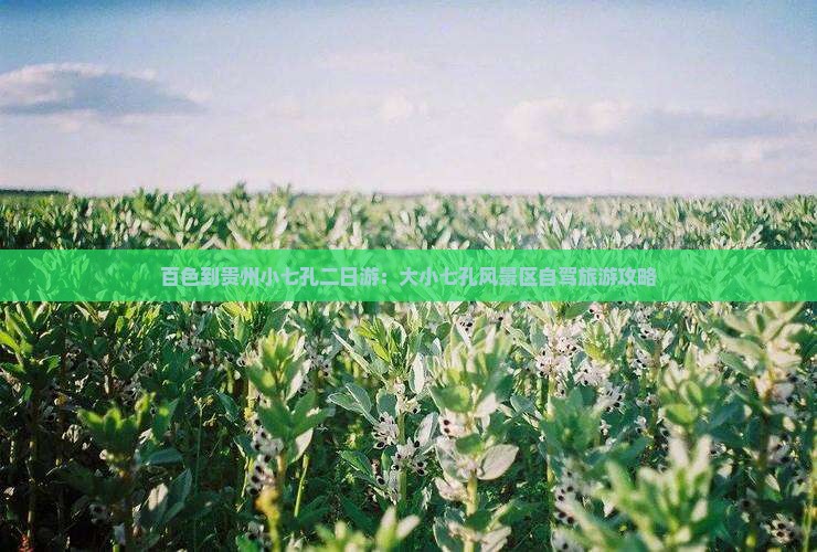 百色到贵州小七孔二日游