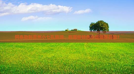 阿泰勒到贵州小七孔旅游小吃