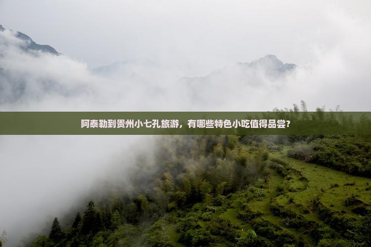 阿泰勒到贵州小七孔旅游小吃