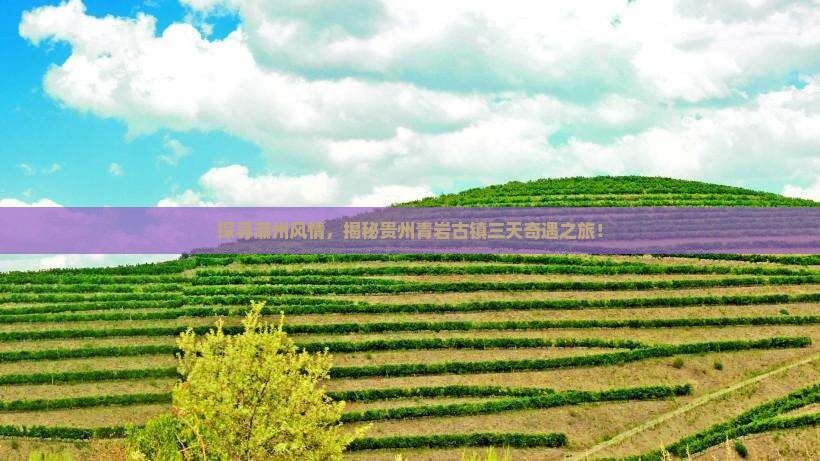 潮州去贵州青岩古镇三日游
