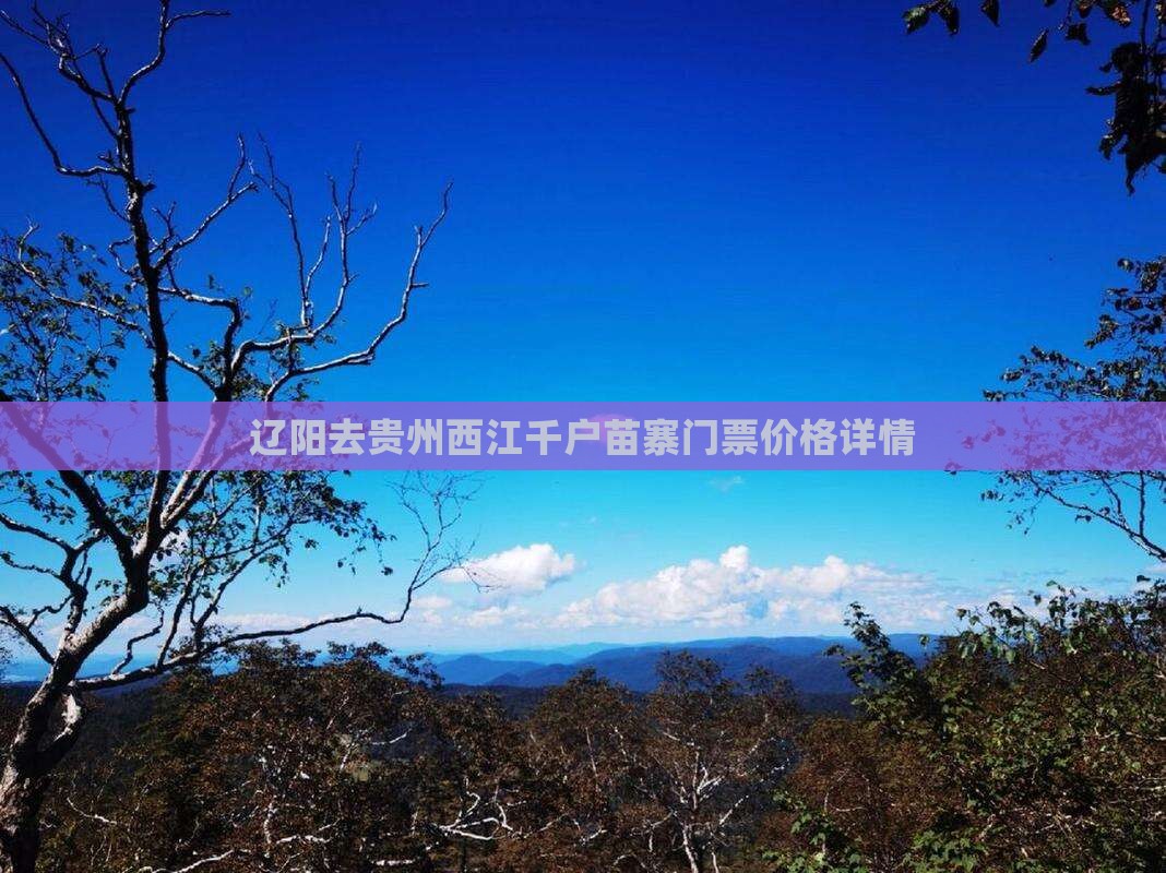 辽阳去贵州西江千户苗寨门票