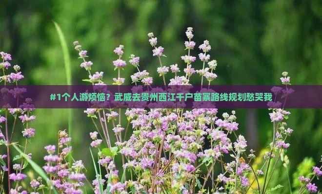 武威到贵州西江千户苗寨个人游
