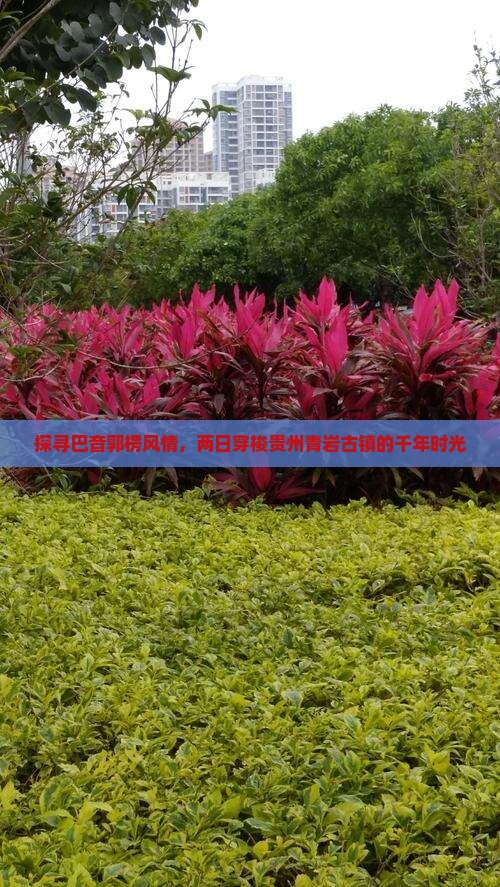 巴音郭楞到贵州青岩古镇二日游