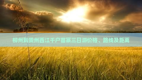柳州到贵州西江千户苗寨三日游 柳州到贵州西江千户苗寨三日游