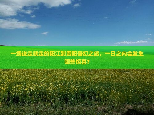 阳江去贵州贵阳一日
